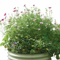 GSC Birdies™ Round Metal Raised Bed -Plant Supports Shop 8609150 006525 tif