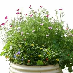 GSC Birdies™ Round Metal Raised Bed -Plant Supports Shop 8609150 06525 tif
