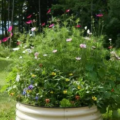 GSC Birdies™ Round Metal Raised Bed