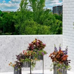 GSC Galvanized Grow Bag Triple Planters With Stand -Plant Supports Shop 8609180 0344 tif