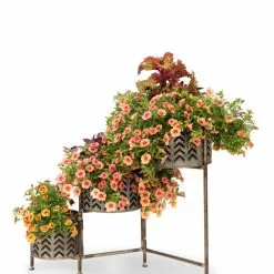 GSC Galvanized Grow Bag Triple Planters With Stand -Plant Supports Shop 8609180 0364 tif