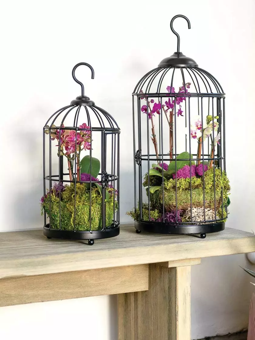 GSC Hanging Birdcage Planter Set 4 GSC Hanging Birdcage Planter Set - Image 2