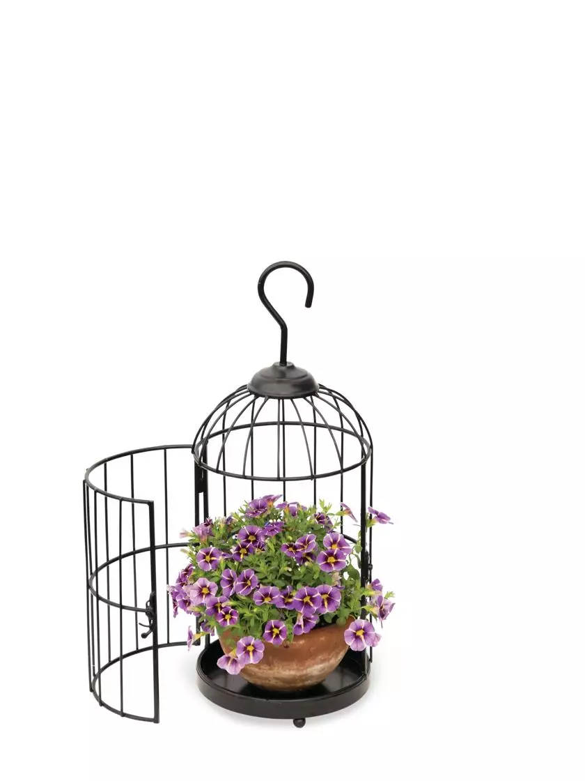 GSC Hanging Birdcage Planter Set 5 GSC Hanging Birdcage Planter Set - Image 3