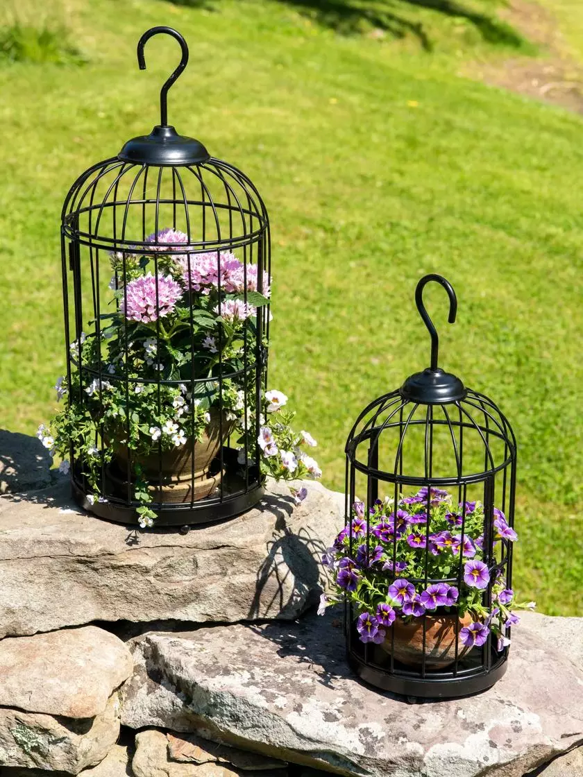 GSC Hanging Birdcage Planter Set 6 GSC Hanging Birdcage Planter Set - Image 4