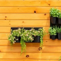 GSC 8 Pot Metal Wall Planter 9 GSC 8 Pot Metal Wall Planter -Plant Supports Shop 8609195 6250 tif