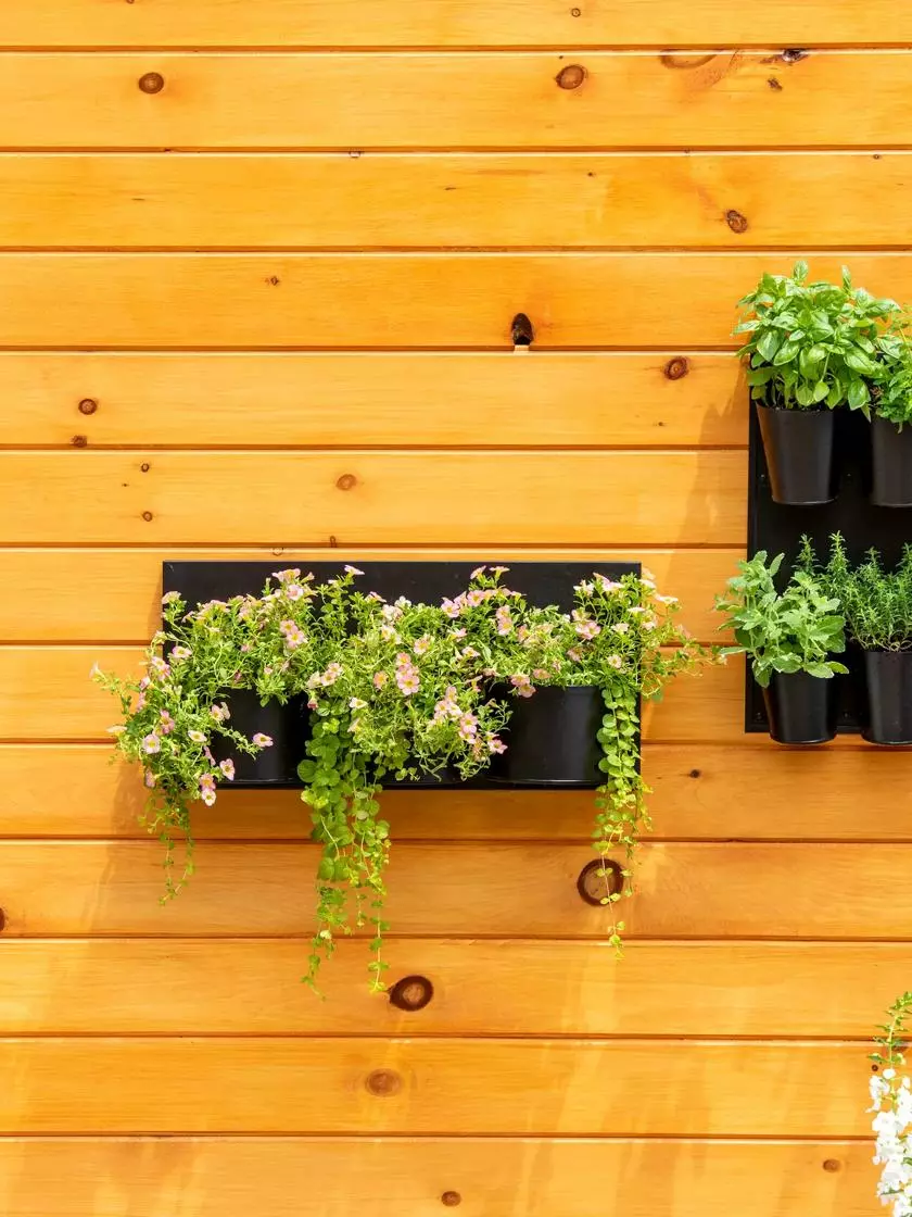 GSC 8 Pot Metal Wall Planter 6 GSC 8 Pot Metal Wall Planter - Image 4