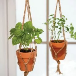 GSC Mini Terracotta Pot With Hanger, Set Of 2