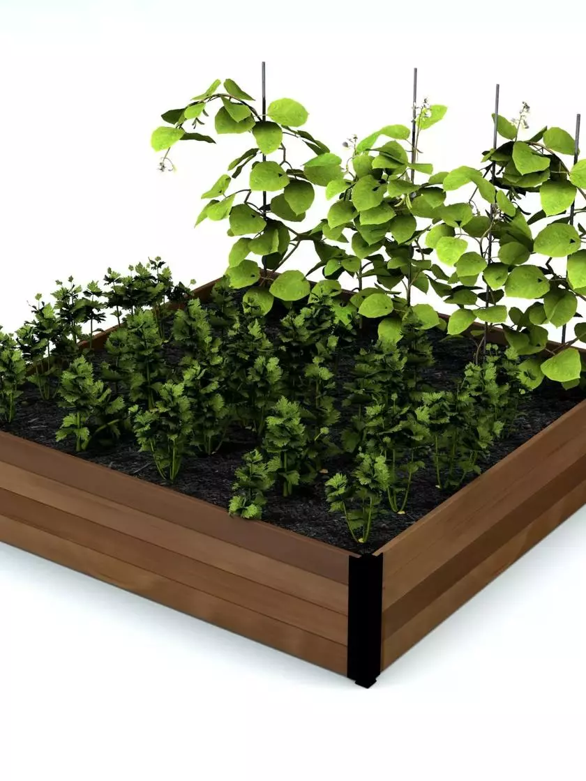 GSC Vita Mezza Garden Bed, 4’x4’x11” 3 GSC Vita Mezza Garden Bed, 4’x4’x11”
