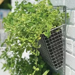 GSC Wire Wall Pockets Vertical Gardens -Plant Supports Shop 8609429 9500 tif