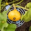 GSC Melon And Squash Cradles, Set Of 6 1 GSC Melon And Squash Cradles, Set Of 6 -Plant Supports Shop 8609464 0235 tif