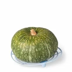 GSC Melon And Squash Cradles, Set Of 6 8 GSC Melon And Squash Cradles, Set Of 6 -Plant Supports Shop 8609464 5204 tif
