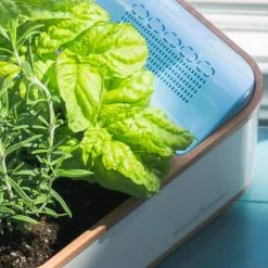 GSC Dewplanter -Plant Supports Shop 8609512 04V