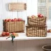 GSC Stacked Root Storage Bins Set -Plant Supports Shop 8609877 9291 tif