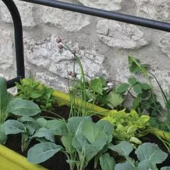 GSC Vigoroot™ Self-Watering Easy Garden Planter 13 GSC Vigoroot™ Self-Watering Easy Garden Planter -Plant Supports Shop 8609879 04V tif