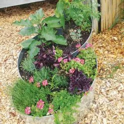 GSC Curved Metal Raised Bed