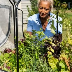 GSC VegTrug®Patio Garden Greenhouse Cover Kit -Plant Supports Shop 8610172 1256