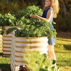 GSC Birdies™ Modular Metal Raised Bed, Tall -Plant Supports Shop 8610174 05010 tif