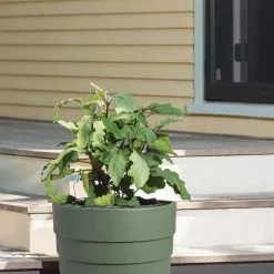 GSC Gardener’s Victory Self-Watering Patio Planter -Plant Supports Shop 8610236 015143 tif