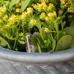 GSC Adjustable Self-Watering Insert For Pots And Planters -Plant Supports Shop 8610250 0010 tif