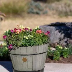 GSC VegTrug® Build-a-Barrel Wooden Planter With Self-Watering Reservoir Tray, 18"