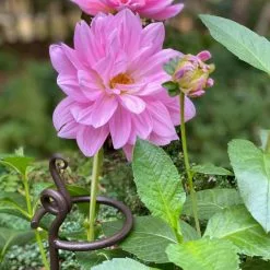 GSC Arden Single Stem Supports, Set Of 2 -Plant Supports Shop 8610375 5703 tif