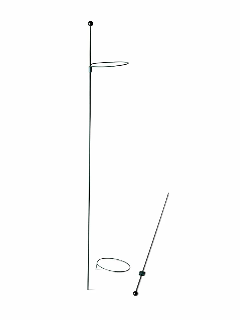 GSC Peacock Mini Plant Support Rings 4", Set Of 2 7 GSC Peacock Mini Plant Support Rings 4", Set Of 2 - Image 5