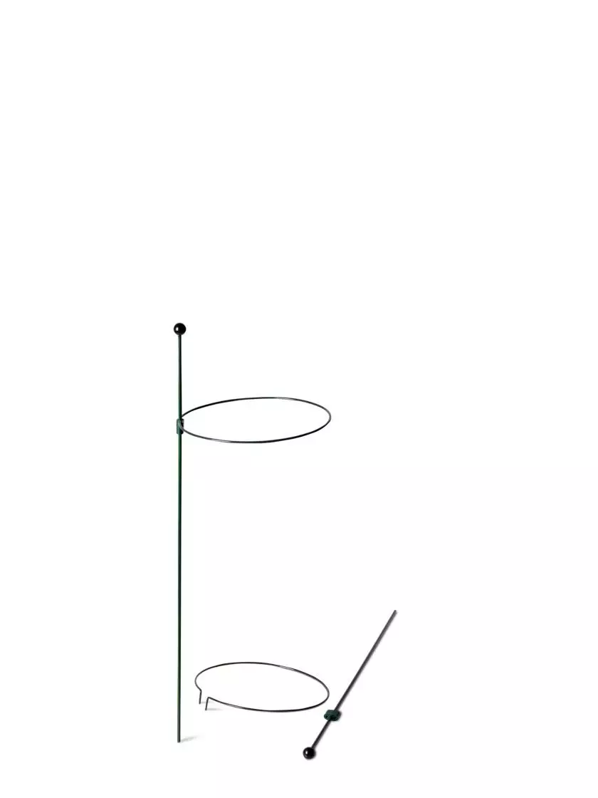 GSC Peacock Mini Plant Support Rings 8", Set Of 2 8 GSC Peacock Mini Plant Support Rings 8", Set Of 2 - Image 6