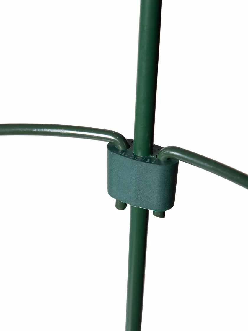 GSC Peacock Mini Plant Support Rings 4", Set Of 2 10 GSC Peacock Mini Plant Support Rings 4", Set Of 2 - Image 8