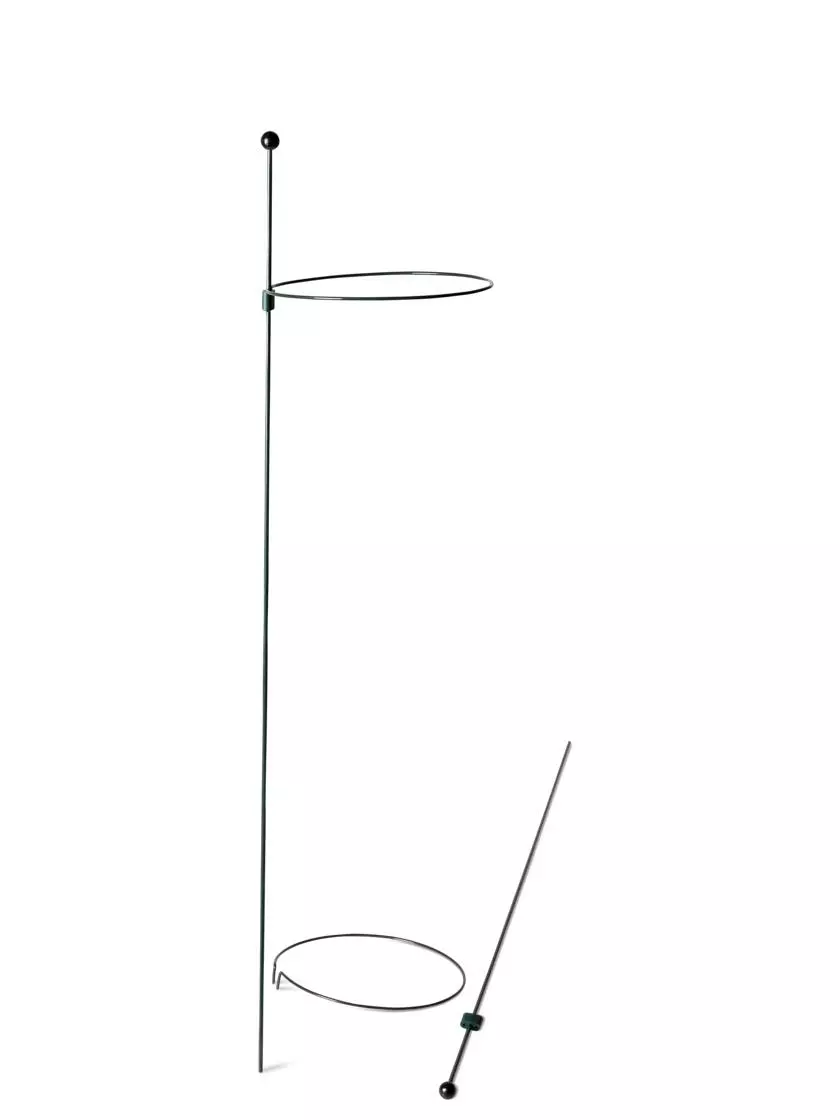 GSC Peacock Mini Plant Support Rings 8", Set Of 2 9 GSC Peacock Mini Plant Support Rings 8", Set Of 2 - Image 7