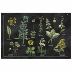 GSC FlorArt Botanical Chart Mat, 2'x3' -Plant Supports Shop 8610624 04v