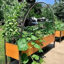 GSC 2’ X 8’ Arch Trellis For Planter Boxes