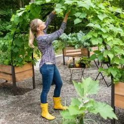 GSC 2’ X 8’ Arch Trellis For Planter Boxes 15 GSC 2’ X 8’ Arch Trellis For Planter Boxes -Plant Supports Shop 8610798 050 tif