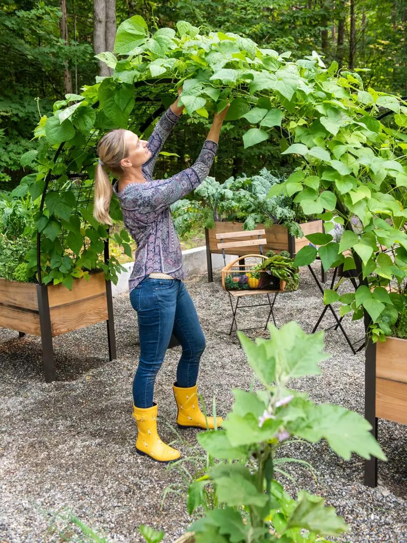 GSC 2’ X 8’ Arch Trellis For Planter Boxes 7 GSC 2’ X 8’ Arch Trellis For Planter Boxes - Image 5