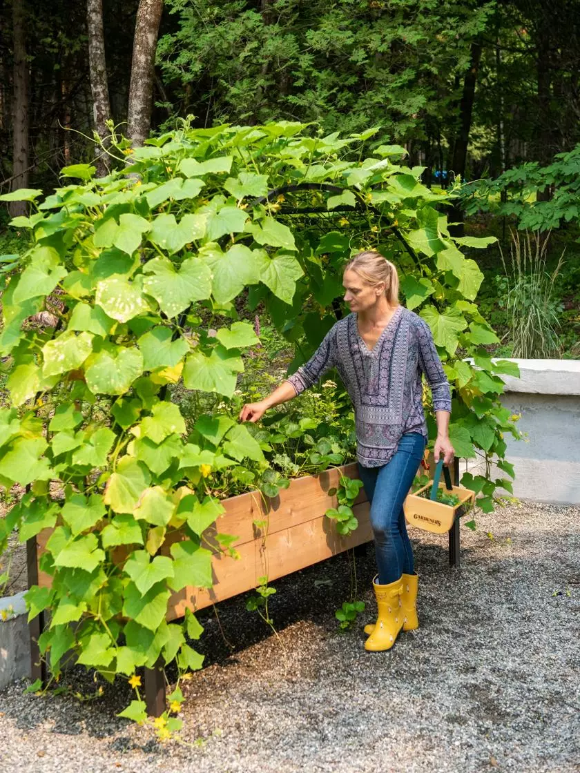 GSC 2’ X 8’ Arch Trellis For Planter Boxes 4 GSC 2’ X 8’ Arch Trellis For Planter Boxes - Image 2