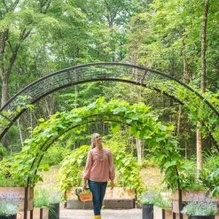 GSC 2’ X 8’ Arch Trellis For Planter Boxes 14 GSC 2’ X 8’ Arch Trellis For Planter Boxes -Plant Supports Shop 8610798 071 tif