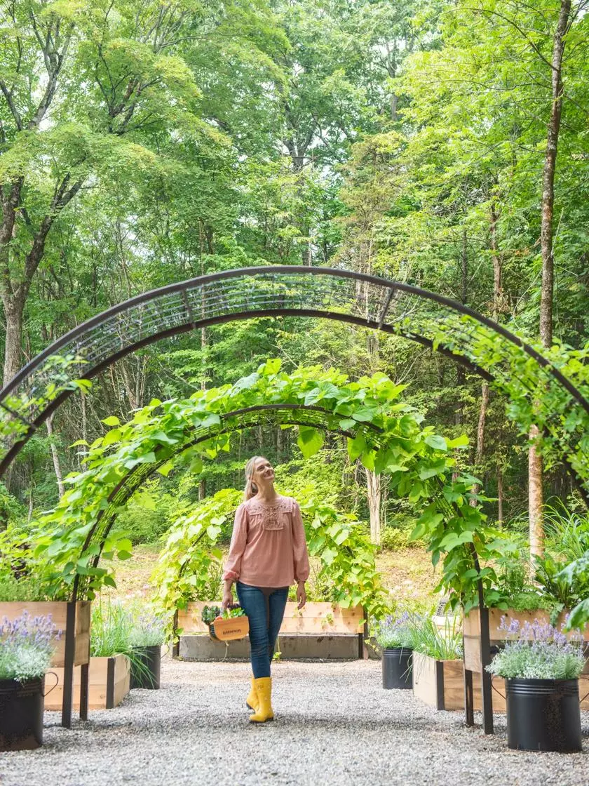 GSC 2’ X 8’ Arch Trellis For Planter Boxes 6 GSC 2’ X 8’ Arch Trellis For Planter Boxes - Image 4