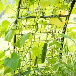 GSC 2’ X 8’ Arch Trellis For Planter Boxes 16 GSC 2’ X 8’ Arch Trellis For Planter Boxes -Plant Supports Shop 8610798 095 tif