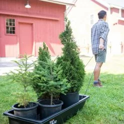 GSC Gardener's Summer Sled 10 GSC Gardener's Summer Sled -Plant Supports Shop 8611044 237 tif