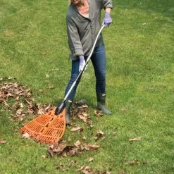 GSC Magic Fly® Leaf Rake -Plant Supports Shop 8611047 027 tif