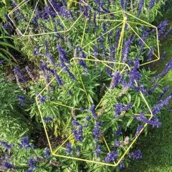 GSC Parasol Plant Supports, Set Of 3