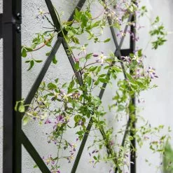 GSC Lattice Gable Wall Trellis 8 GSC Lattice Gable Wall Trellis -Plant Supports Shop 8611130 011