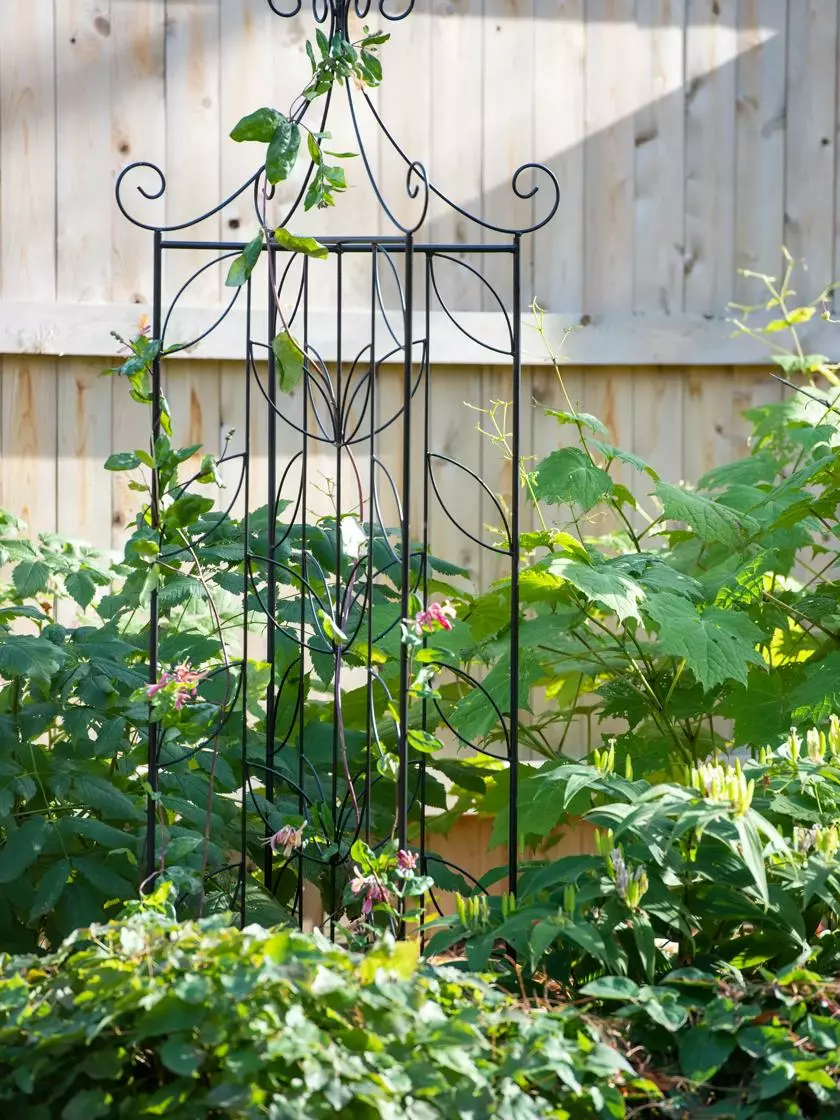 GSC 4 Sided Leaf Obelisk, 72" 3 GSC 4 Sided Leaf Obelisk, 72"