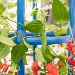 GSC Fleur De Lis Obelisk, 67" -Plant Supports Shop 8611663 0607 tif