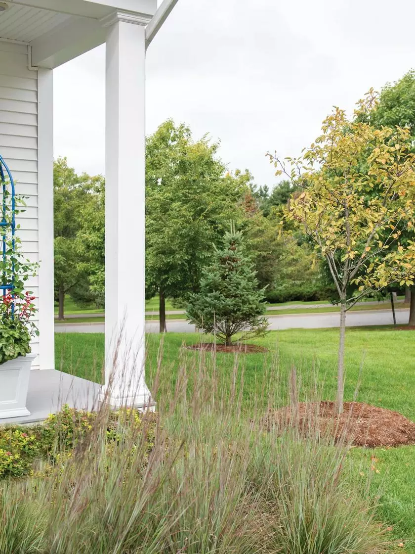 GSC Fairfield Self-Watering Square Planter, 16” X 16” 6 GSC Fairfield Self-Watering Square Planter, 16” X 16” - Image 4