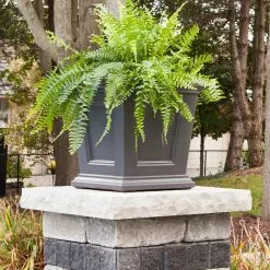 GSC Fairfield Self-Watering Square Planter, 16” X 16” 15 GSC Fairfield Self-Watering Square Planter, 16” X 16” -Plant Supports Shop 8611695 06V tif