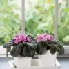 GSC Stoneware Self-Watering Windowsill Planters, Set Of 2 -Plant Supports Shop 8611890 4396 tif