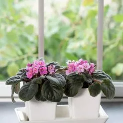 GSC Stoneware Self-Watering Windowsill Planters, Set Of 2