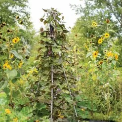 GSC DIY Connector For Teepee Trellis -Plant Supports Shop 8611896 062 tif