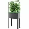 GSC City Jungle® Heidelberg Tomato Trellis -Plant Supports Shop 8611964 01V tif