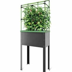 GSC City Jungle® Heidelberg Tomato Trellis